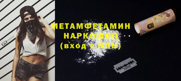 индика Каменка