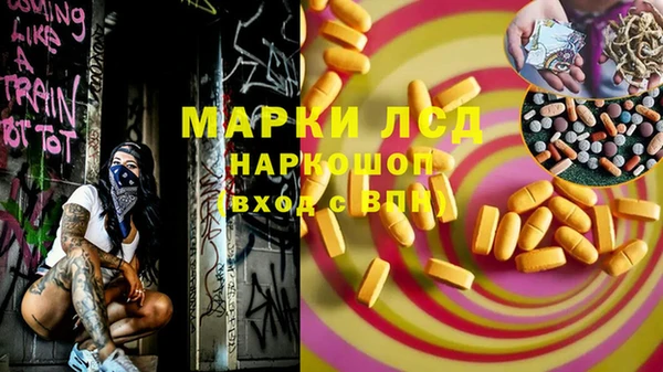 индика Каменка