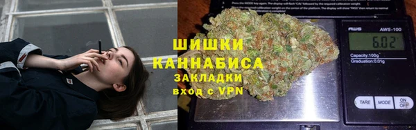 сатива Иннополис