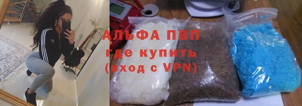 индика Каменка