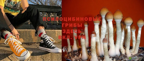PSILOCYBIN Инта