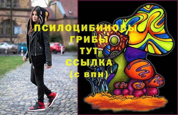 соль курить ск Инсар