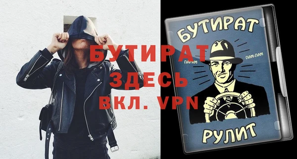 индика Каменка