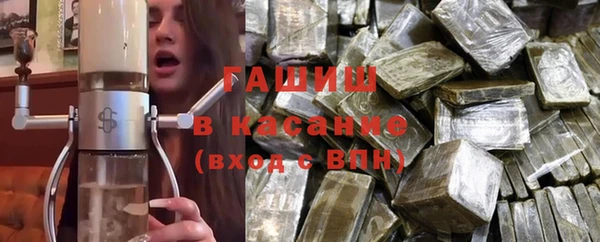 индика Каменка