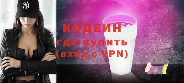 индика Каменка