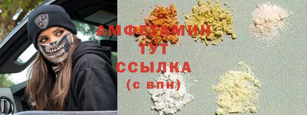 сатива Иннополис