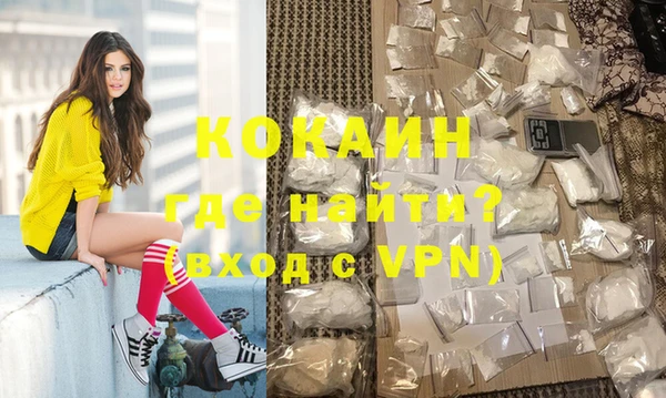 индика Каменка
