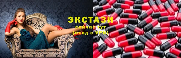 индика Каменка