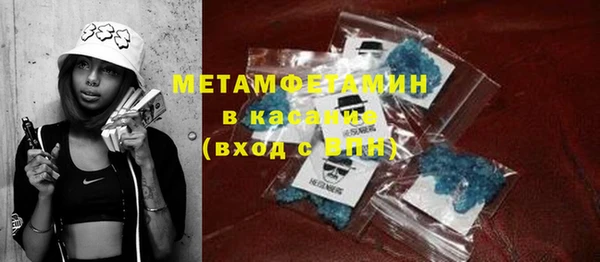 индика Каменка