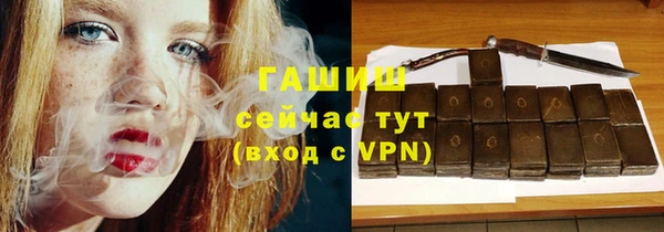 индика Каменка