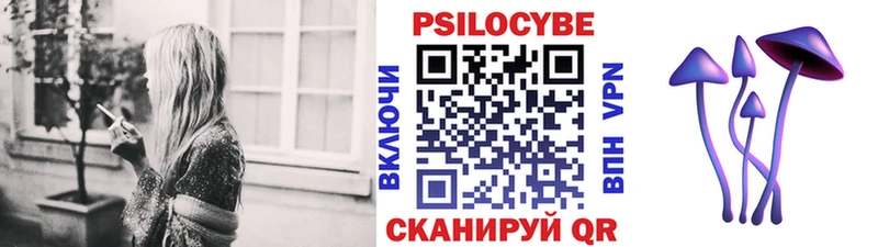 Купить Дно Галлюциногенные грибы ЛСД